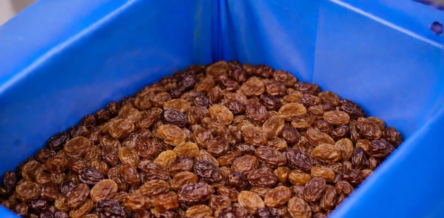 Raisins Bag in Box