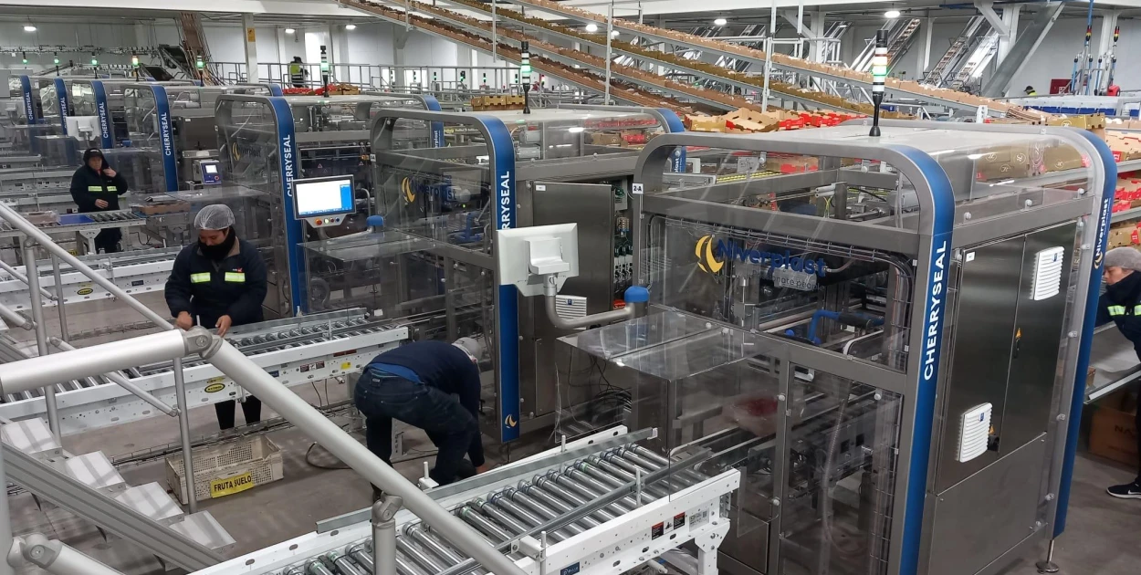 CherrySeal | Kirschenverpackung | Niverplast
