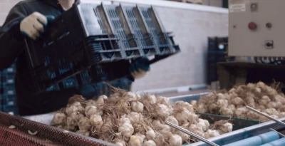 Blumenzwiebeln | Niverplast