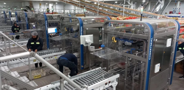 CherrySeal | Kirschenverpackung | Niverplast