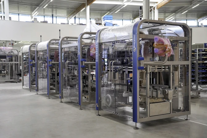 Automatisierte Kirschenverpackung | CherrySeal | Niverplast