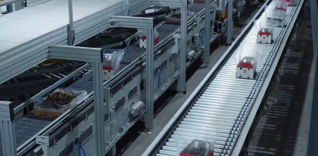 Packaging lines cherry transport | Niverplast